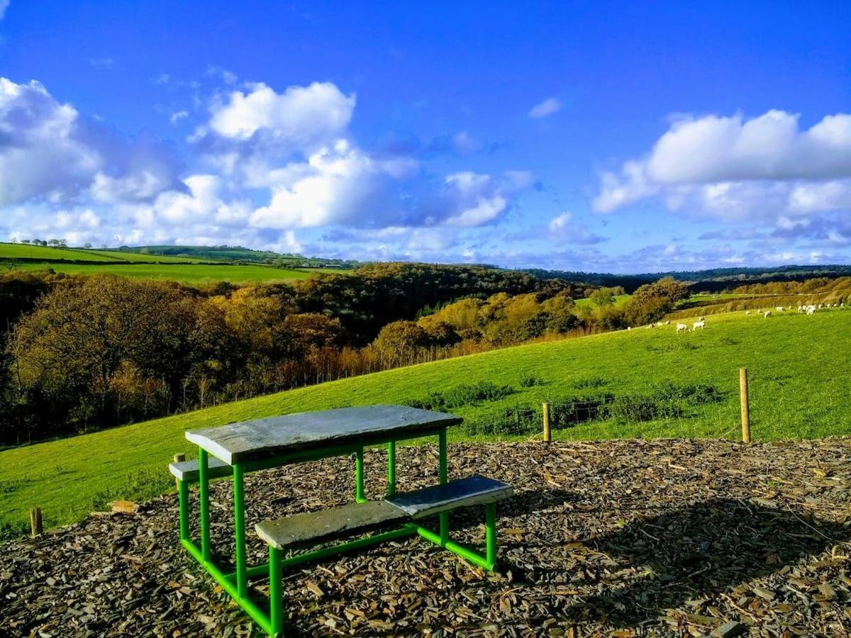 Luxury Cottage With Private Indoor Hot Tub+Woodlands Llanfyrnach Kültér fotó